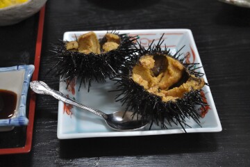 生ウニ