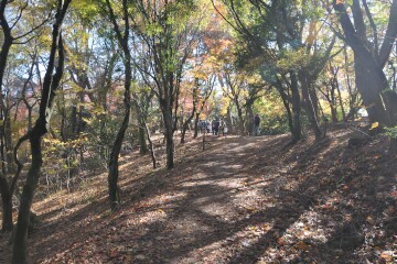 寒霞渓表登山道