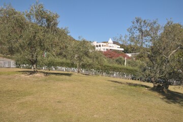 サン・オリーブ