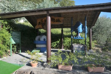 オリーブ搾り機