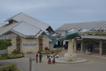 沖縄美ら海水族館 沖縄美ら海水族館