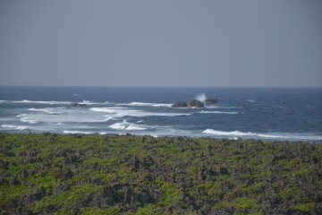 ゴツゴツした岩場 ゴツゴツした岩場