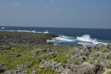 ゴツゴツした岩場 ゴツゴツした岩場