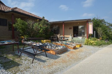 陶器販売 陶器販売