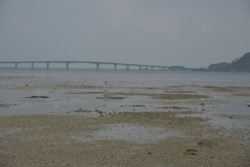 浜比嘉大橋 浜比嘉大橋