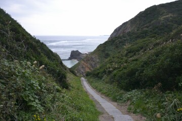 立ち止まり振り返る 散策路