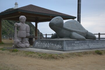 カメさん カメさん