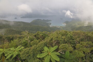 大島海峡 大島海峡