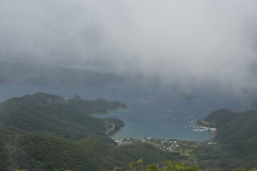 大島海峡 大島海峡