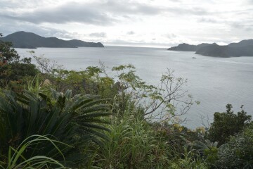 大島海峡 大島海峡