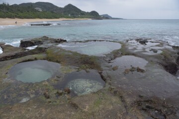 いくつかの潮だまり ハートロック