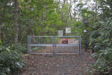 原生林の出入口 原生林の出入口