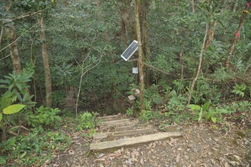 階段を降りる 階段