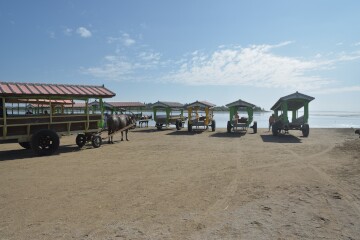 西表島水牛車乗り場 西表島水牛車乗り場
