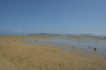 マンタの浜 マンタの浜