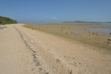 マンタの浜 マンタの浜