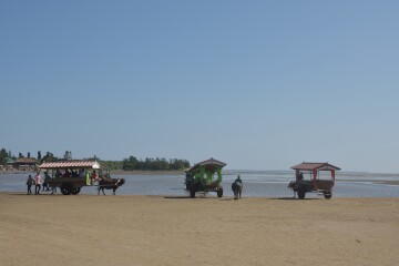 西表島水牛車乗り場 西表島水牛車乗り場