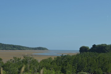 河口付近 河口付近