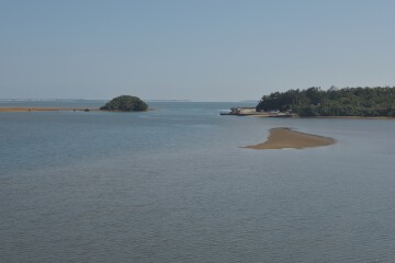 河口付近 河口付近