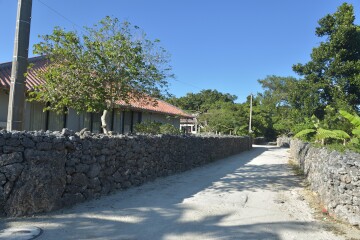 白砂の道 白砂の道