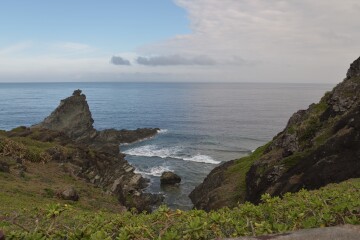 サンゴ礁が広がる海