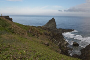 サンゴ礁が広がる海