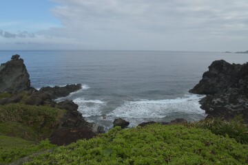 サンゴ礁が広がる海